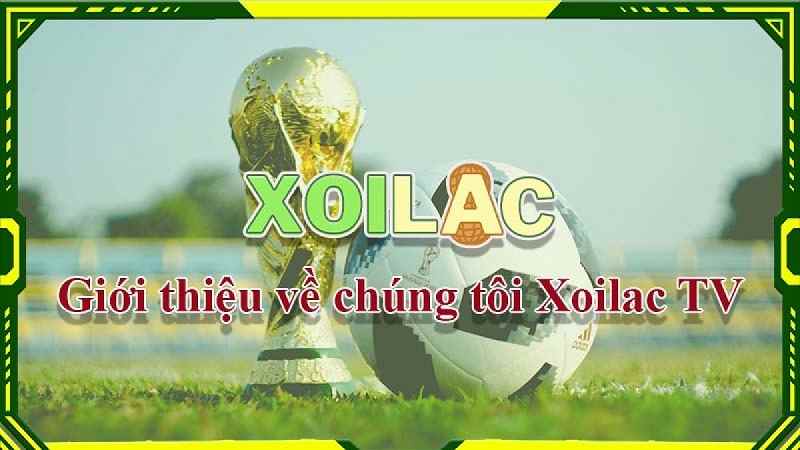 Khám phá Xoilac TV và cùng trải nghiệm xem bóng đá trực tuyến